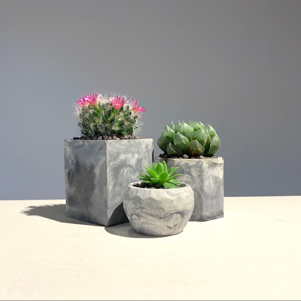Set of 3 Mini Concrete Plant Pots